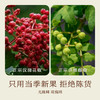 南食召 干花椒干藤椒 商品缩略图2