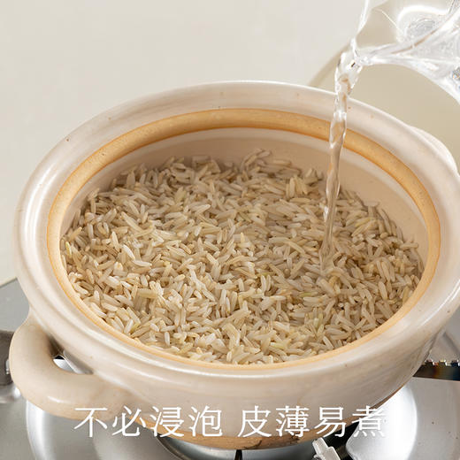 南食召 每日有机糙米 商品图3