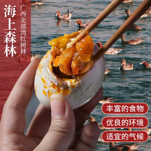 丁山河红树林轻盐蟹黄鸭蛋  起沙流油的蟹香鸭蛋 商品图1
