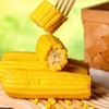 当季鲜穗！内蒙古沙漠玉米 1小时锁鲜 甜糯香甜 低卡饱腹 健康粗粮 商品缩略图5
