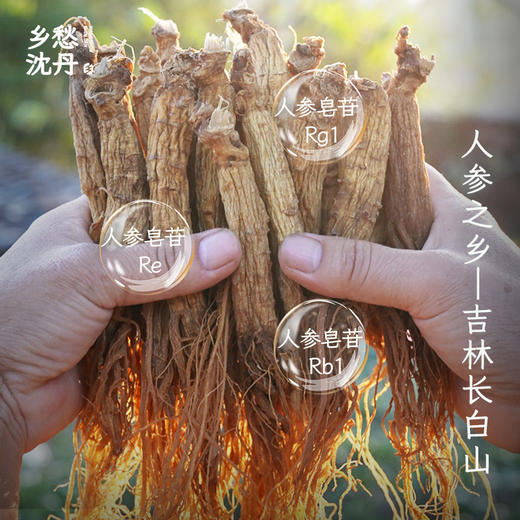 【无添加红参元气丸】红参元气丸多种谷物无添加1盒180g 商品图1