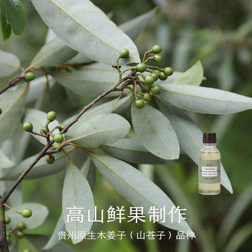 南食召 本真木姜子油 商品图3
