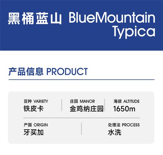 黑桶蓝山一号｜经典浓郁 低酸醇厚 商品图1