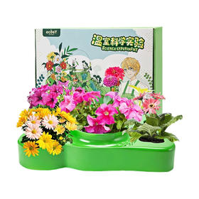 植物生长观察科学小实验套装儿童种植阳光房幼儿园小学生益智玩具温室科学实验 38*30*9.5