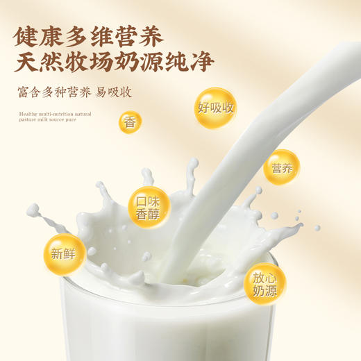 【严选】新疆八大怪老新疆奶皮子粉400g   （厂家直发） 商品图2