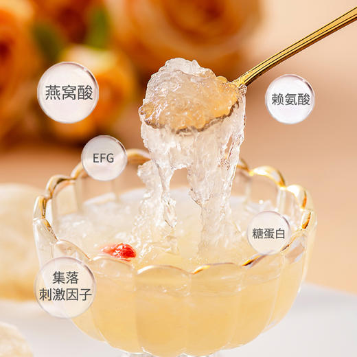 【一件包邮 传统滋补】蔡府舒燕燕盏即炖燕盏9g 燕丝丰富而且粗壮连贯 甘肃/青海/内蒙古/新疆/西藏/宁夏/海南/港澳台不发货 商品图3