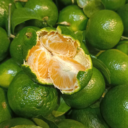 【清甜多汁】清香桔 约500g/份 商品图2