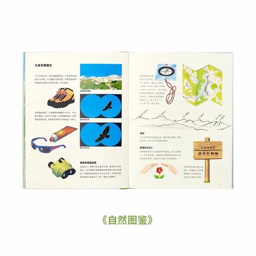 《自然图鉴》《四季年鉴》《树木和森林的世界》大自然观察手册 带你听到更多大自然的声音 读小库 5-100岁 自然绘本 博物百科 商品图5
