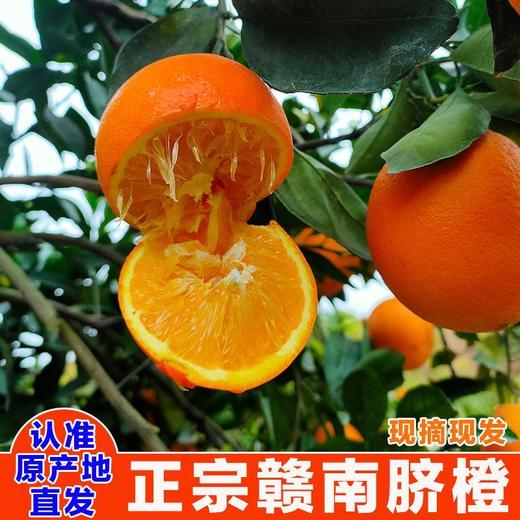 赣南脐橙大果家庭共享包邮直发 【NB】 商品图5