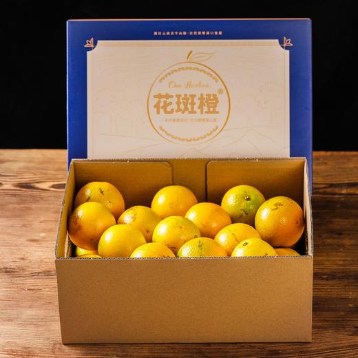【哀牢山花斑橙】果形圆润饱满 橙香浓郁 肉厚饱满 酸甜多汁 沁香无渣 橙香怡人 4种规格任选 商品图6