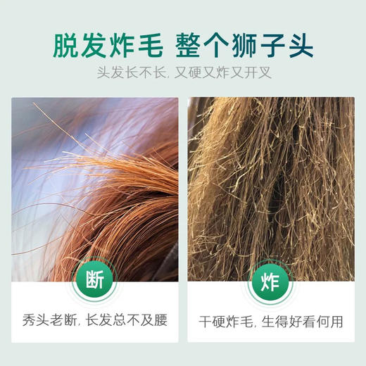 琴叶防脱发控油洗发水（滋润蓝风铃）750ml 商品图3