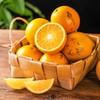 【哀牢山花斑橙】果形圆润饱满 橙香浓郁 肉厚饱满 酸甜多汁 沁香无渣 橙香怡人 4种规格任选 商品缩略图7