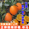 赣南脐橙大果家庭共享包邮直发 【NB】 商品缩略图4