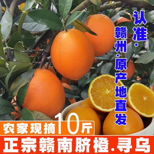 赣南脐橙大果家庭共享包邮直发 【NB】 商品图4
