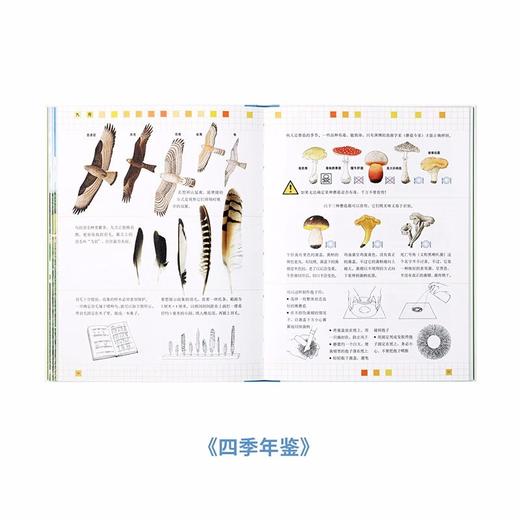 《自然图鉴》《四季年鉴》《树木和森林的世界》大自然观察手册 带你听到更多大自然的声音 读小库 5-100岁 自然绘本 博物百科 商品图3