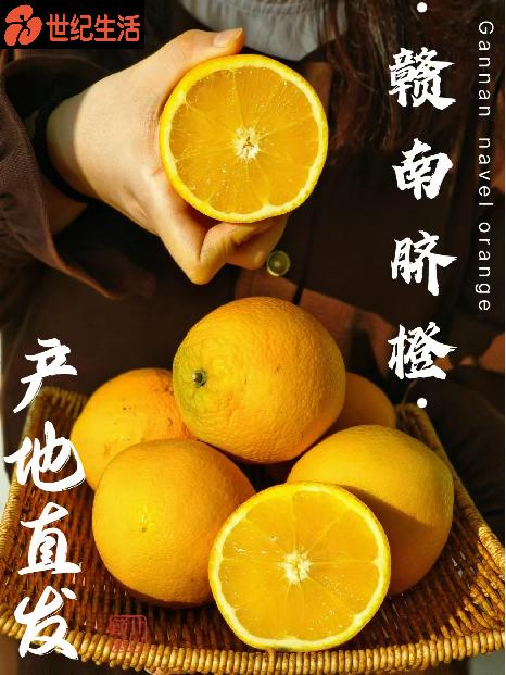 赣南脐橙大果家庭共享包邮直发 【NB】 商品图1