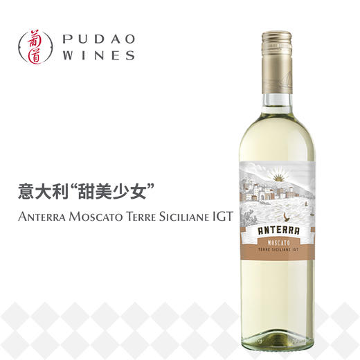 安特拉莫斯卡托白葡萄酒 Anterra Moscato Terre Siciliane IGT (SC) 商品图0