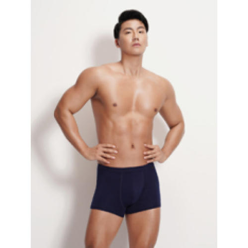 都市丽人男士内裤平角裤简约基础太极石单品内裤FK04C6 商品图1