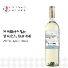 安特拉格里洛白葡萄酒Anterra Grillo Sicilia