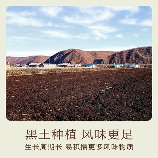 南食召本色红豆 300g 商品图1