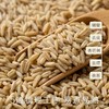 南食召胚芽燕麦 300g 商品缩略图1