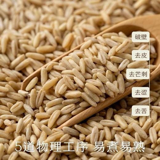 南食召胚芽燕麦 300g 商品图1