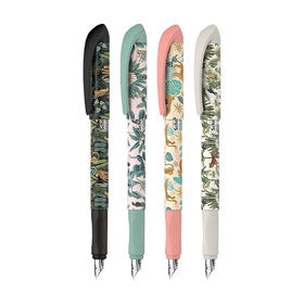 德国施耐德 起点钢笔（花色）