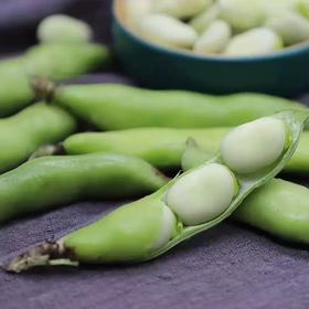 【生鲜预定】带壳蚕豆
