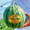 巴郎蜜麒麟西瓜9斤+ 商品缩略图0