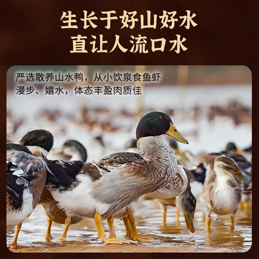 【鲜卤酱板鸭综合链接】黑色经典鲜卤酱板鸭308g/318g/360g/368g 商品图1