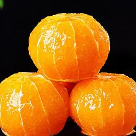 科阳高山红美人柑橘12只装 中果(70-75mm)(商)