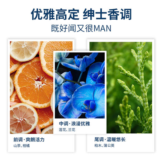 阿道夫 茶树精油男士沐浴露 魅力男神沐浴乳 450ml  温和氨基酸 深层洁净  48小时发货 商品图2