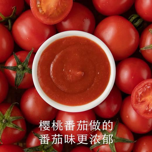 南食召樱桃番茄沙司 195g 商品图1