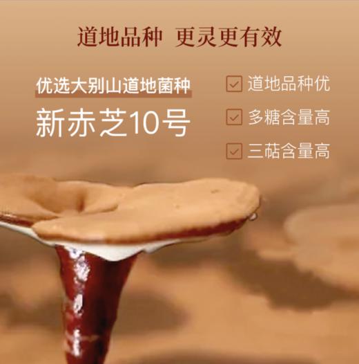 正安 赞安破壁灵芝孢子粉 中老年营养补充 赞安原材 1g/包*60包/盒【不可用券】 商品图2