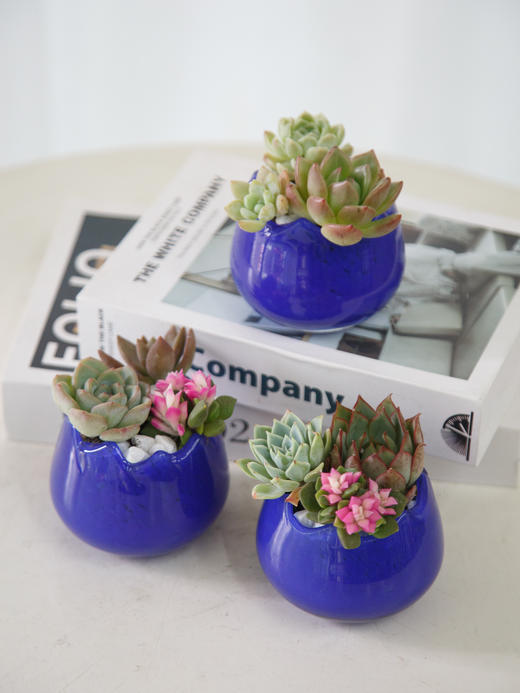 不规则小花瓶（颜色随机） 商品图1