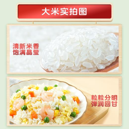  【苏达康牌碱地长粒香米】筋糯爽口 米粒油亮 煮饭煮粥都好吃 商品图2