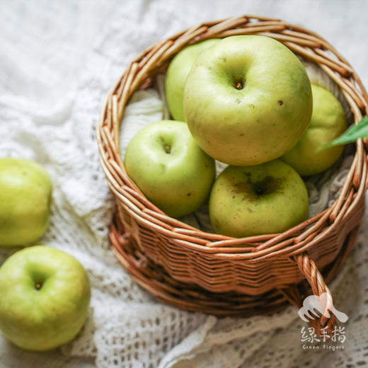 有机瑞雪苹果| 合作生产 Organic ruixue apple | Partner Production 商品图1