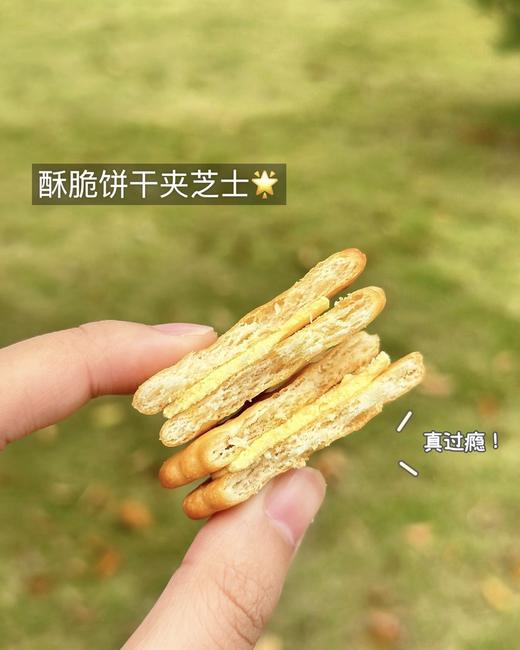 香辣 鱼腥草 商品图7
