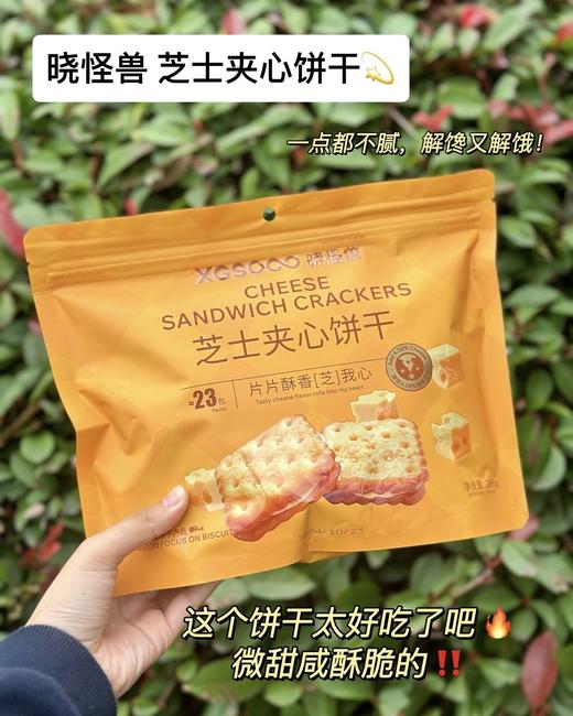 香辣 鱼腥草 商品图10