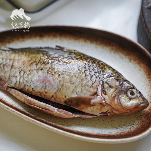 野生冷鲜鲫鱼（京津冀地区包邮）| 合作生产 * Carassius auratus | Partner Production 商品图1