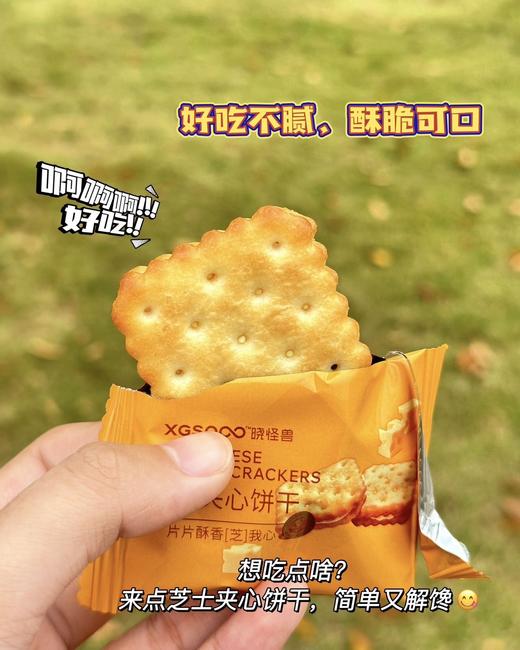 香辣 鱼腥草 商品图4