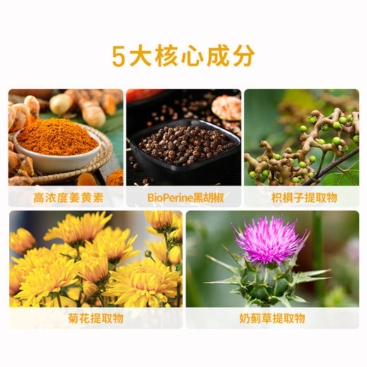 PILLBOX PRO SUPER GOLD 姜黄片 10粒/板 商品图2