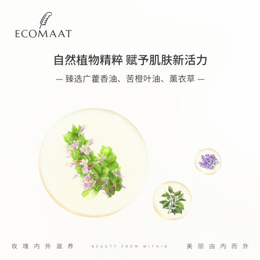 【油性专用油】平衡调理肤质 点亮全脸 ECOMAAT伊可茉女神油性女神油 30ml 商品图3