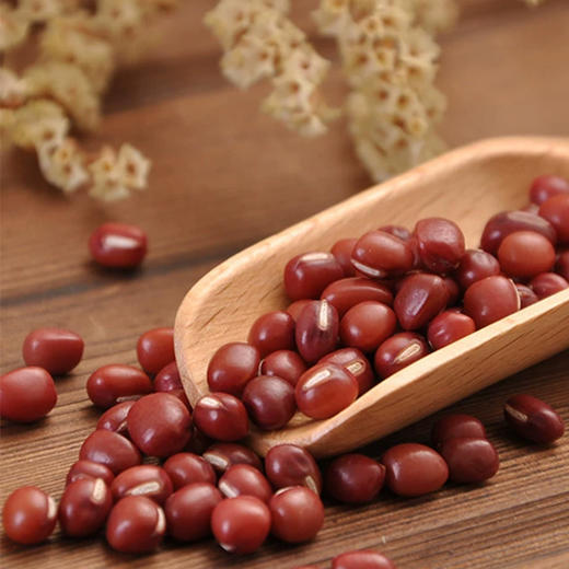 老爷岭红小豆1kg/袋 商品图3