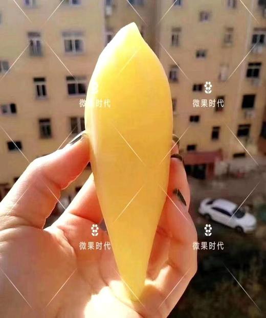 雪莲果一箱 商品图6