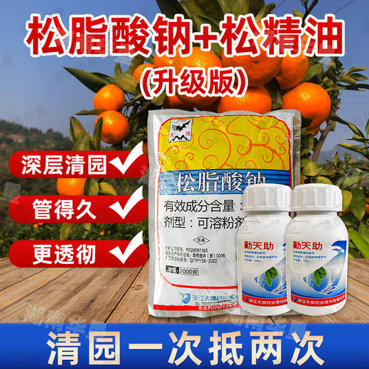 松脂酸钠（升级版）+松精油果园茶园清园专用 商品图2