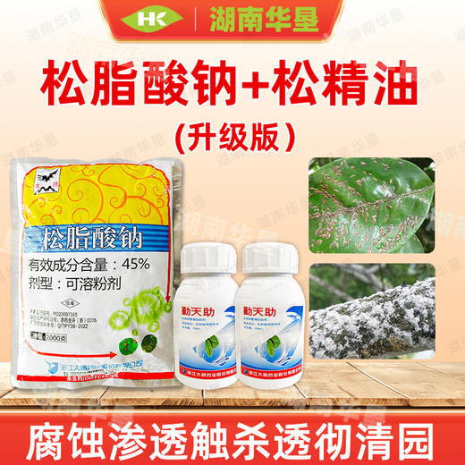 大鹏松脂酸钠松精油套餐清园果树柑橘杨梅矢尖介壳虫清园剂杀虫剂 商品图3