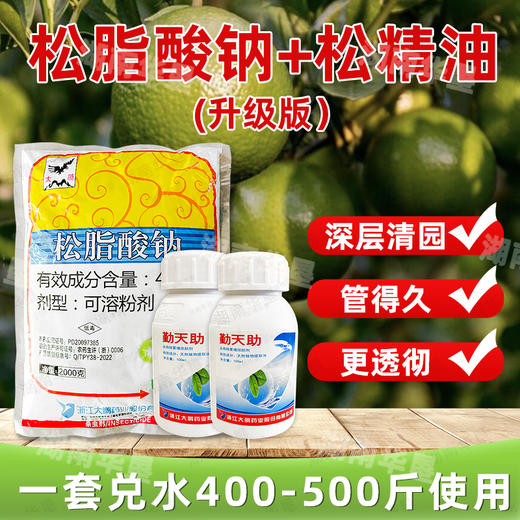 大鹏45%松脂酸钠松精油套餐 果树柑橘介壳虫清园杀虫剂 商品图3