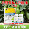 大鹏45%松脂酸钠松精油套餐 果树柑橘介壳虫清园杀虫剂 商品缩略图4