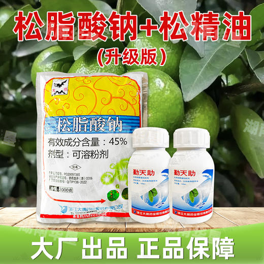 大鹏45%松脂酸钠松精油套餐 果树柑橘介壳虫清园杀虫剂 商品图4